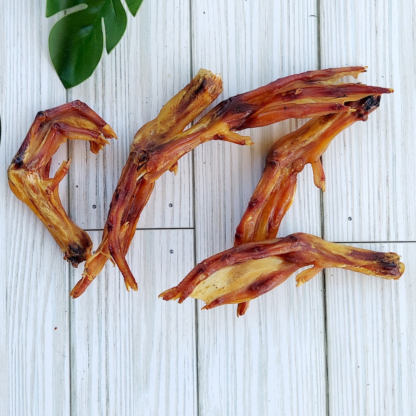 Duck Feet