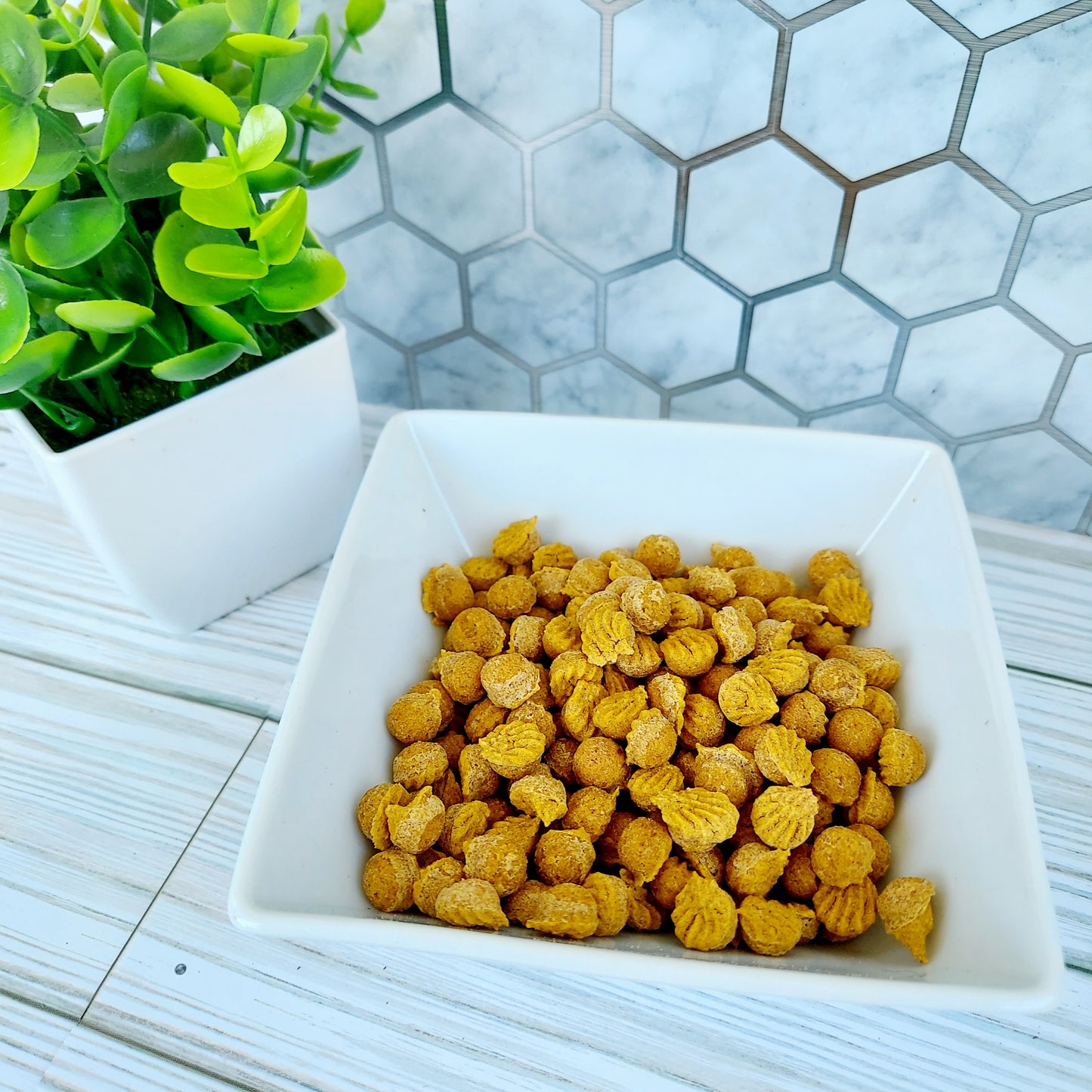 Pumpkin Spice Training Treats