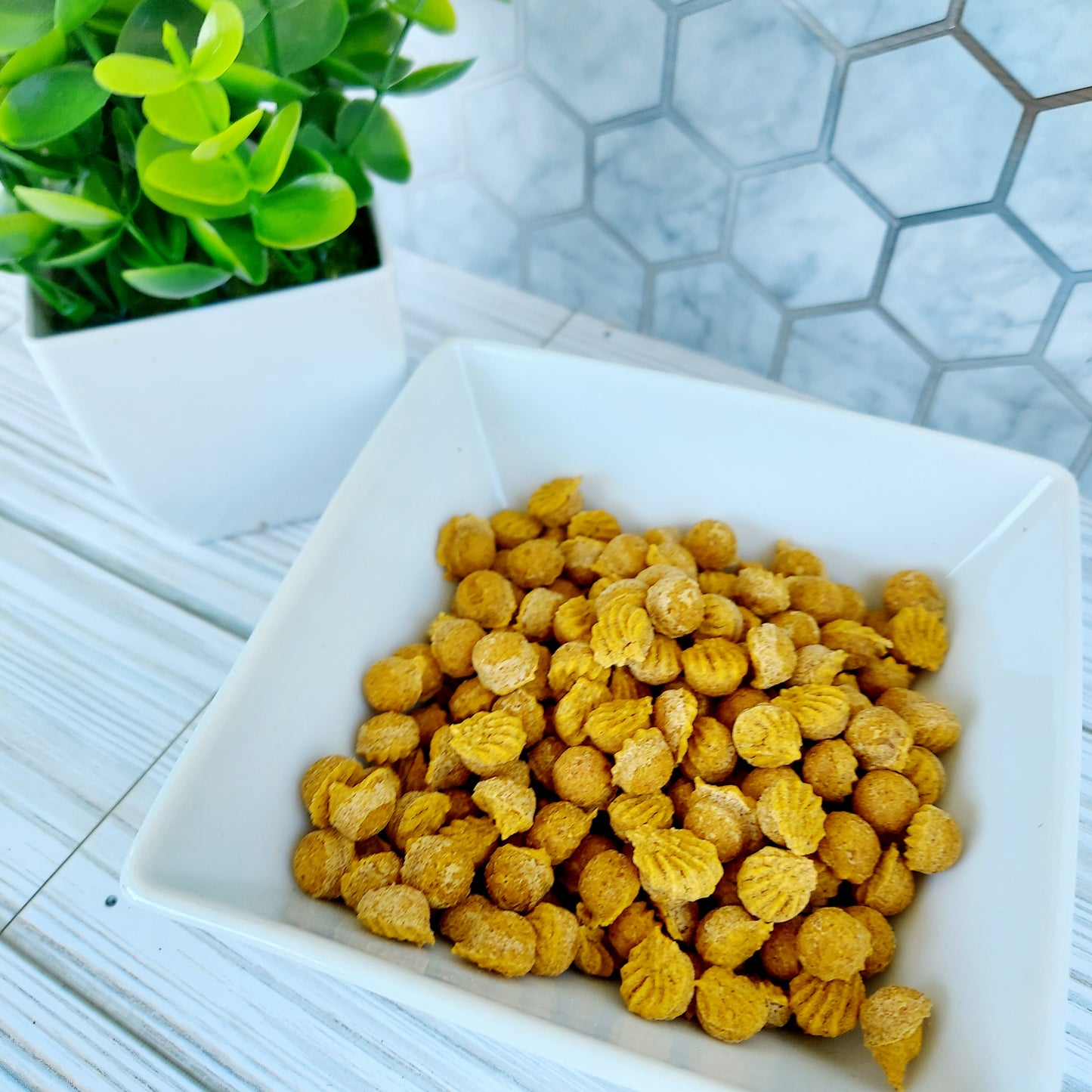 Pumpkin Spice Training Treats