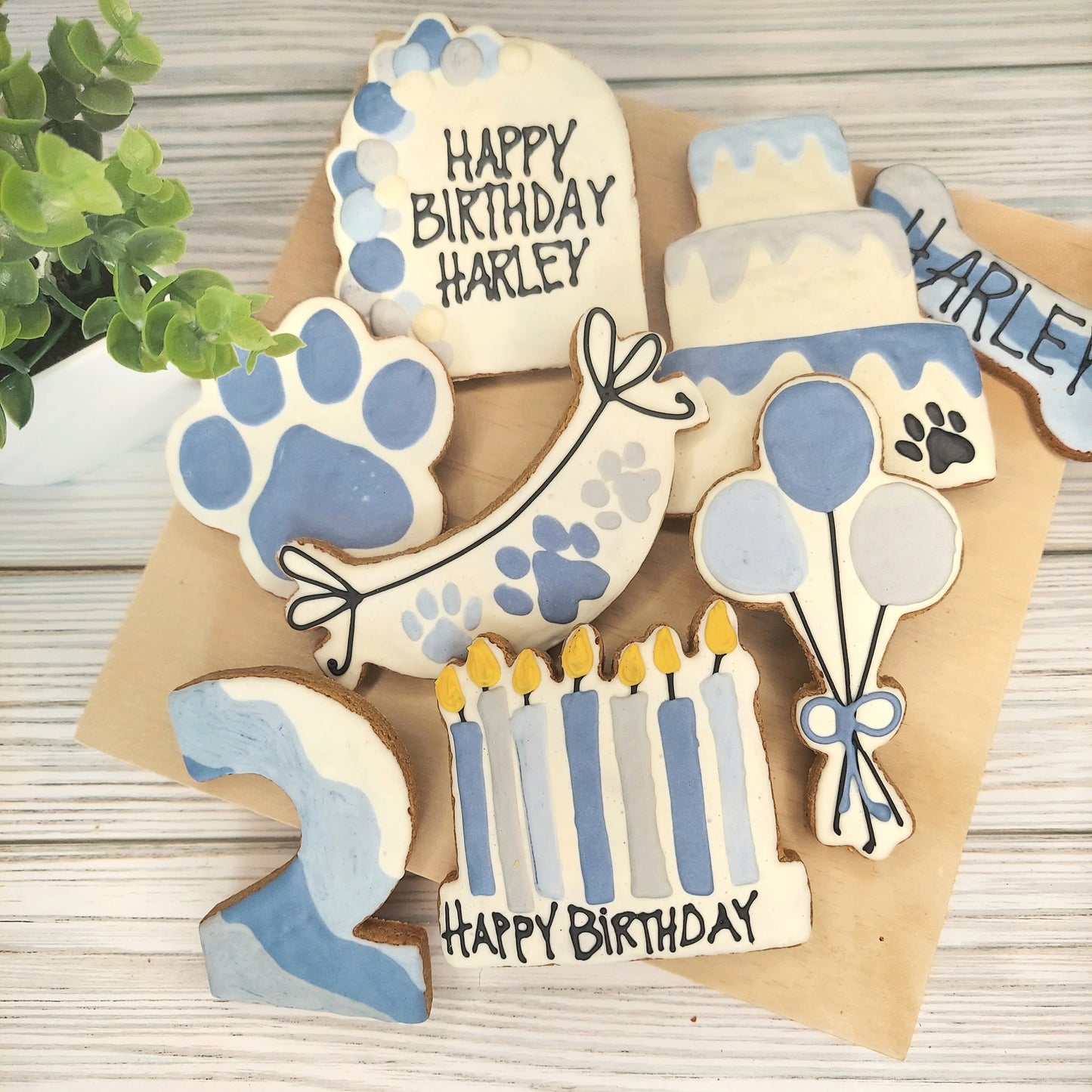 Birthday Box Blue