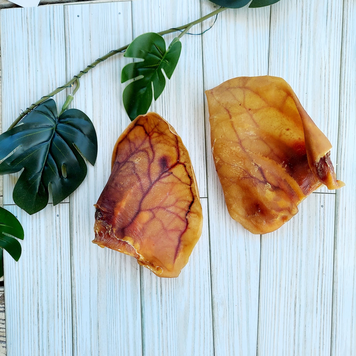 dehydrated Pigs Ear